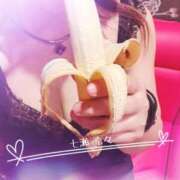 ヒメ日記 2025/04/15 09:19 投稿 七瀬　奈々 30・40・50代☆人妻熟女コレクション