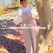 ヒメ日記 2025/05/09 11:36 投稿 七瀬　奈々 30・40・50代☆人妻熟女コレクション