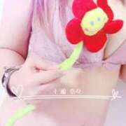 ヒメ日記 2025/08/08 23:14 投稿 七瀬　奈々 30・40・50代☆人妻熟女コレクション