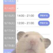 ヒメ日記 2025/09/13 13:04 投稿 七瀬　奈々 30・40・50代☆人妻熟女コレクション