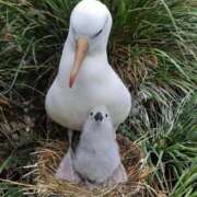 ヒメ日記 2025/09/19 23:10 投稿 七瀬　奈々 30・40・50代☆人妻熟女コレクション
