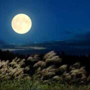 ヒメ日記 2025/10/06 07:01 投稿 七瀬　奈々 30・40・50代☆人妻熟女コレクション