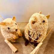 ヒメ日記 2025/10/30 00:38 投稿 七瀬　奈々 30・40・50代☆人妻熟女コレクション