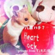 ヒメ日記 2025/11/01 07:01 投稿 七瀬　奈々 30・40・50代☆人妻熟女コレクション