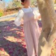 ヒメ日記 2025/12/12 02:03 投稿 七瀬　奈々 30・40・50代☆人妻熟女コレクション