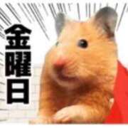 ヒメ日記 2025/12/12 15:48 投稿 七瀬　奈々 30・40・50代☆人妻熟女コレクション