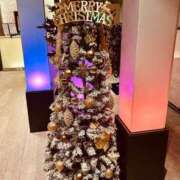 ヒメ日記 2025/12/24 23:16 投稿 七瀬　奈々 30・40・50代☆人妻熟女コレクション