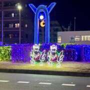 ヒメ日記 2026/01/05 20:29 投稿 七瀬　奈々 30・40・50代☆人妻熟女コレクション