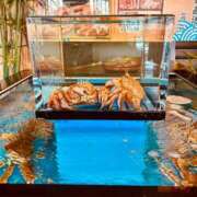 ヒメ日記 2026/01/08 00:07 投稿 七瀬　奈々 30・40・50代☆人妻熟女コレクション