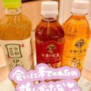 ヒメ日記 2026/02/19 03:30 投稿 七瀬　奈々 30・40・50代☆人妻熟女コレクション