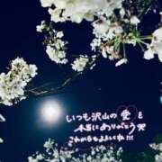 ヒメ日記 2026/04/04 02:31 投稿 七瀬　奈々 30・40・50代☆人妻熟女コレクション