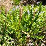 ヒメ日記 2026/04/13 07:03 投稿 七瀬　奈々 30・40・50代☆人妻熟女コレクション