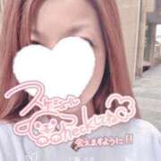 ヒメ日記 2026/04/19 08:57 投稿 七瀬　奈々 30・40・50代☆人妻熟女コレクション