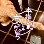 ヒメ日記 2026/06/05 23:24 投稿 七瀬　奈々 30・40・50代☆人妻熟女コレクション
