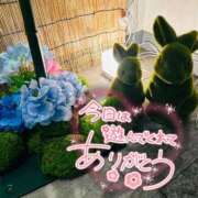 ヒメ日記 2026/06/22 17:16 投稿 七瀬　奈々 30・40・50代☆人妻熟女コレクション