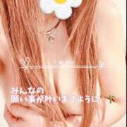 ヒメ日記 2026/07/07 19:02 投稿 七瀬　奈々 30・40・50代☆人妻熟女コレクション