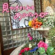 ヒメ日記 2026/09/11 18:34 投稿 七瀬　奈々 30・40・50代☆人妻熟女コレクション