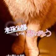 ヒメ日記 2026/10/24 01:10 投稿 七瀬　奈々 30・40・50代☆人妻熟女コレクション