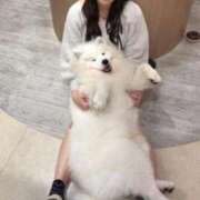 ヒメ日記 2025/01/15 08:26 投稿 かれん 鹿鳴館