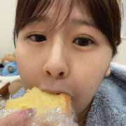 ヒメ日記 2025/01/26 12:06 投稿 かれん 鹿鳴館