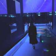 ヒメ日記 2025/02/07 22:36 投稿 かれん 鹿鳴館