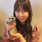 ヒメ日記 2025/02/21 23:42 投稿 かれん 鹿鳴館