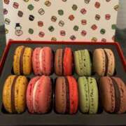 ヒメ日記 2025/02/24 11:06 投稿 かれん 鹿鳴館