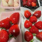 ヒメ日記 2025/03/07 11:58 投稿 かれん 鹿鳴館