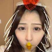 ヒメ日記 2025/03/10 18:46 投稿 かれん 鹿鳴館