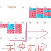 ヒメ日記 2025/04/08 16:06 投稿 かれん 鹿鳴館