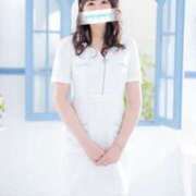 ヒメ日記 2025/04/08 16:36 投稿 かれん 鹿鳴館