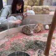 ヒメ日記 2025/04/15 22:56 投稿 かれん 鹿鳴館