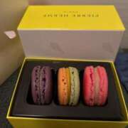 ヒメ日記 2025/04/17 09:46 投稿 かれん 鹿鳴館