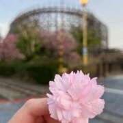 ヒメ日記 2025/04/24 19:56 投稿 かれん 鹿鳴館