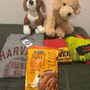 ヒメ日記 2025/07/31 18:46 投稿 かれん 鹿鳴館