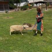 ヒメ日記 2025/10/03 10:16 投稿 かれん 鹿鳴館