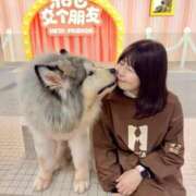 ヒメ日記 2025/11/12 00:06 投稿 かれん 鹿鳴館