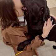 ヒメ日記 2025/11/12 00:56 投稿 かれん 鹿鳴館