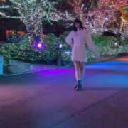 ヒメ日記 2025/11/13 22:56 投稿 かれん 鹿鳴館