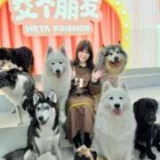 ヒメ日記 2025/11/16 21:16 投稿 かれん 鹿鳴館