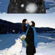 ヒメ日記 2025/11/17 22:26 投稿 かれん 鹿鳴館