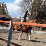 ヒメ日記 2026/01/31 08:56 投稿 かれん 鹿鳴館