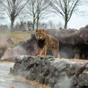 ヒメ日記 2026/02/28 09:36 投稿 かれん 鹿鳴館