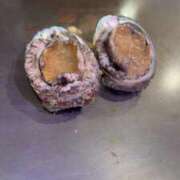 ヒメ日記 2026/04/23 11:36 投稿 かれん 鹿鳴館