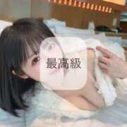 ヒメ日記 2025/03/11 21:16 投稿 ひなこ Versailles