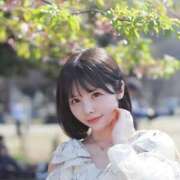 ヒメ日記 2025/03/28 18:12 投稿 ひなこ Versailles