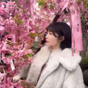 ヒメ日記 2025/03/29 07:10 投稿 ひなこ Versailles