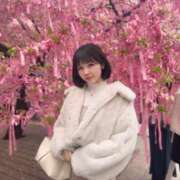 ヒメ日記 2025/04/08 07:10 投稿 ひなこ Versailles