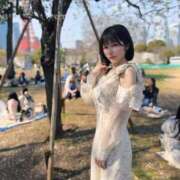 ヒメ日記 2025/04/10 18:22 投稿 ひなこ Versailles