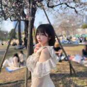 ヒメ日記 2025/04/27 13:09 投稿 ひなこ Versailles